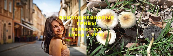 герыч Алзамай