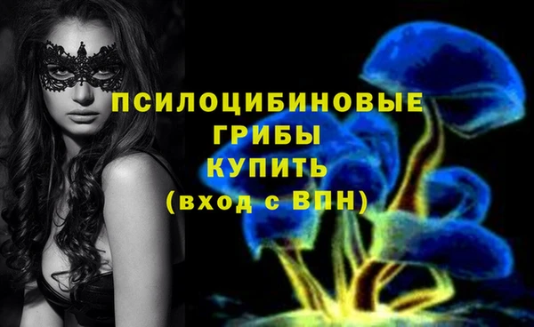 герыч Алзамай