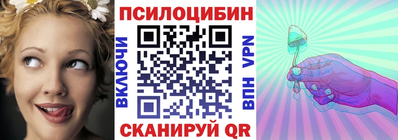 Галлюциногенные грибы Psilocybe  купить закладку  Олонец 